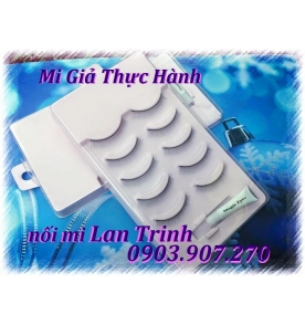 MI GIẢ THỰC HÀNH