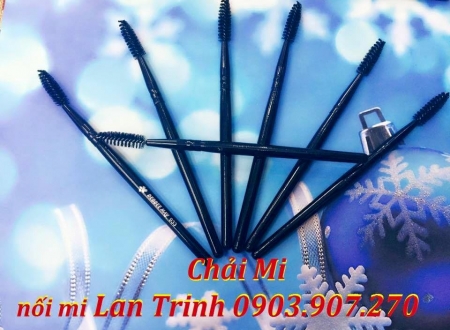 CHẢI MI LỚN 