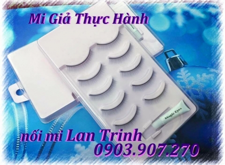 MI GIẢ THỰC HÀNH